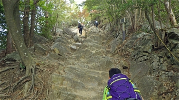 RIMG0996_edited-1_R_R