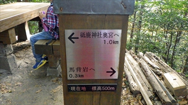 RIMG1025_edited-1_R_R