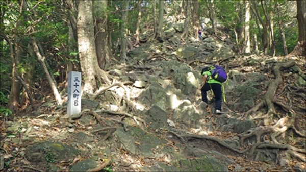 RIMG1030_edited-1_R_R