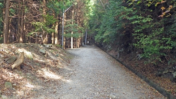 RIMG1036_edited-1_R_R