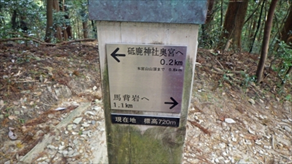 RIMG1055_edited-1_R_R