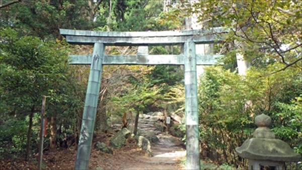 RIMG1059_edited-1_R_R