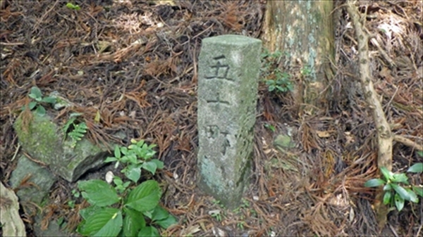 RIMG1068_edited-1_R_R
