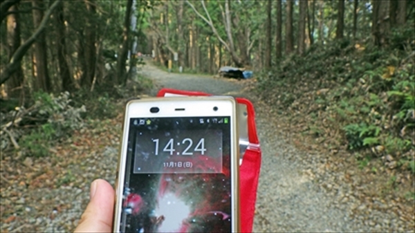 RIMG1108_edited-1_R_R