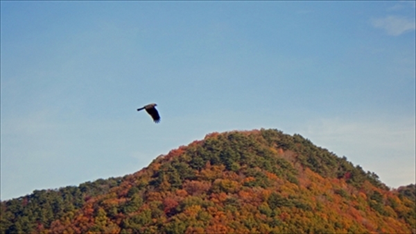 RIMG1176_edited-1_R_R