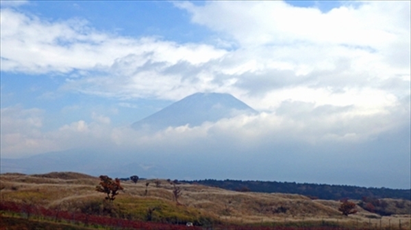 RIMG1253_edited-1_R_R