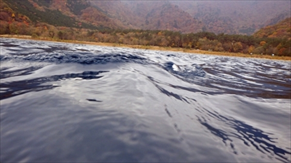 RIMG1263_edited-1_R_R