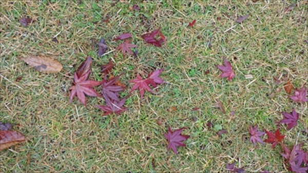 RIMG1293_edited-1_R_R