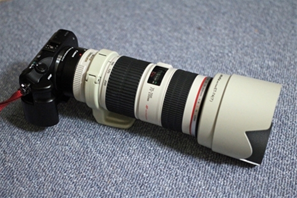 IMG_5046_edited-1_R_T1
