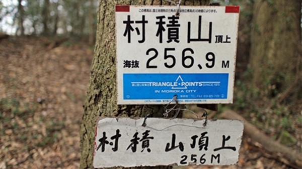 IMG_4615_edited-1_T_T1
