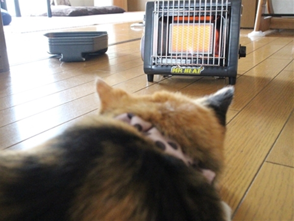 IMG_4645_Rs-sコピー_T1