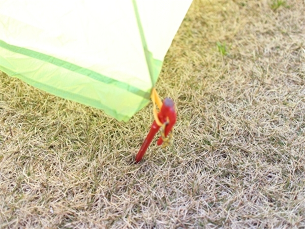 IMG_4816_R_T1