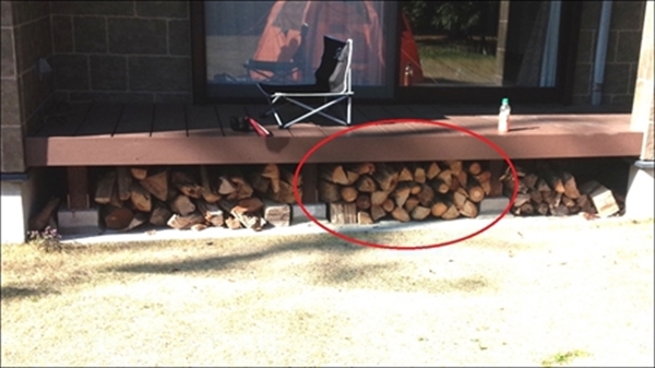 IMG_20160315_15042713_R_R