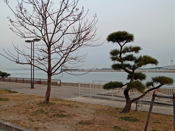 IMG_5257_edited-1_T_T1