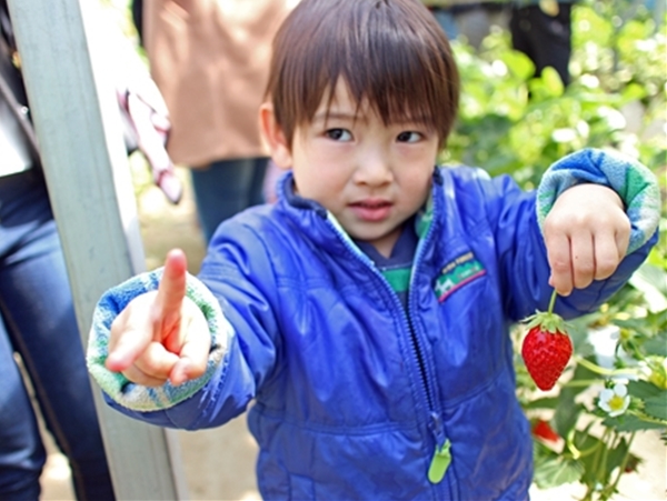 IMG_5313_edited-1_T_T1