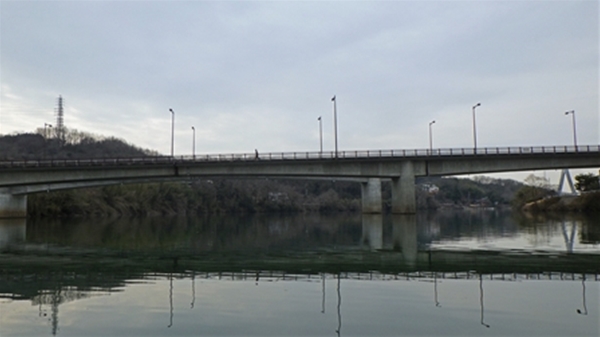 RIMG1354_edited-1_R_T1