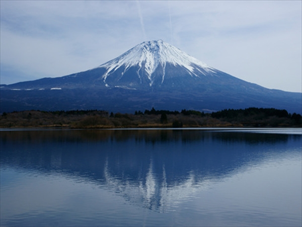 fuji294_1_R
