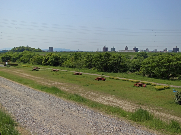 IMG_5528_edited-1_T1