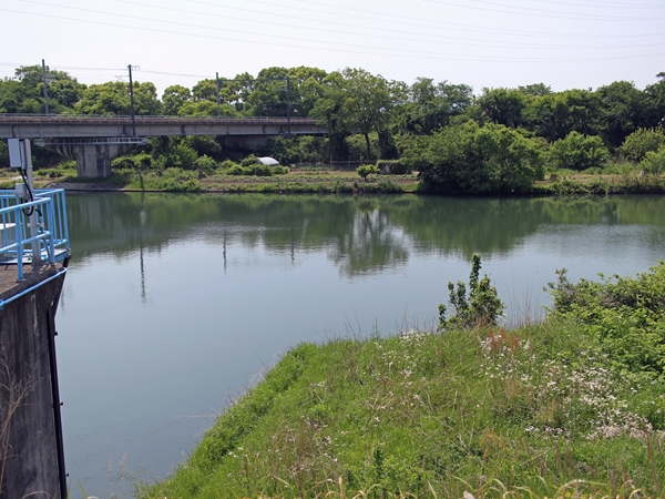 IMG_5538_edited-1_T1