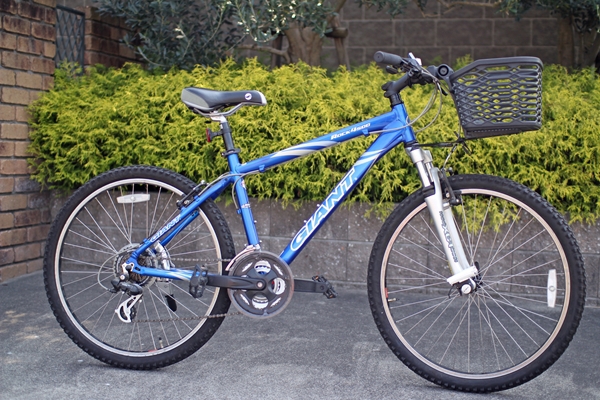 IMG_5835_edited-1_T1