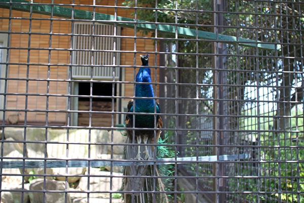 IMG_5915_edited-1_T1