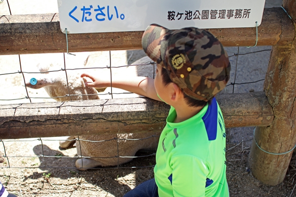 IMG_5935_edited-1_T1