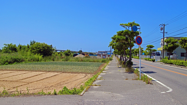 IMG_5749_edited-1_T1