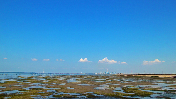 IMG_5755_edited-1_T1