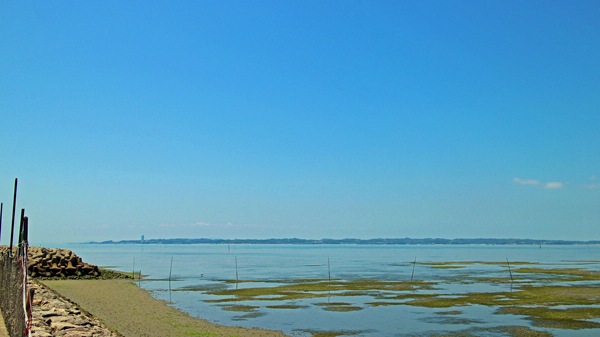 IMG_5756_edited-1_T1