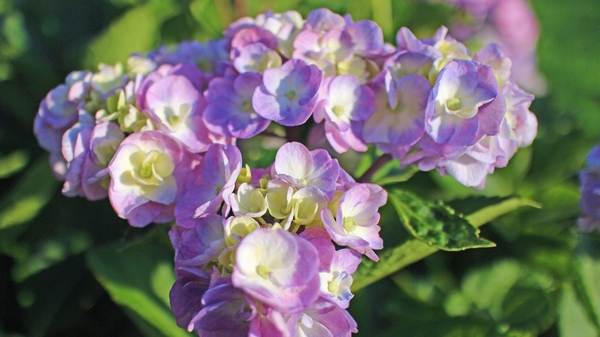 IMG_5829_edited-1_T1