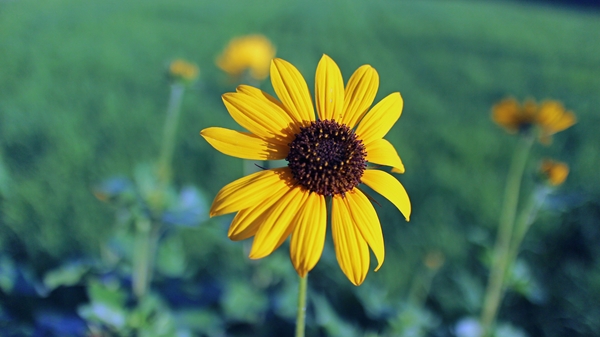 IMG_5831_edited-1_T1