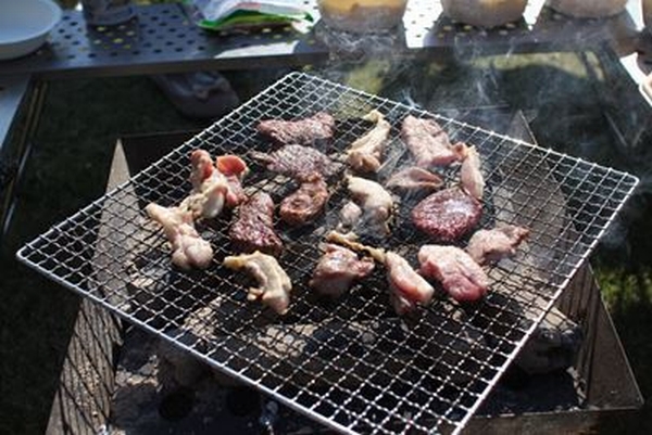 IMG_0534_T_1