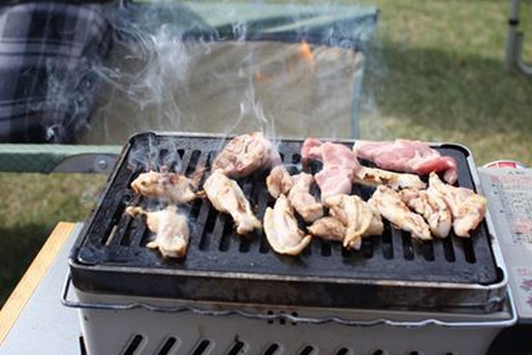 IMG_0544_T_1