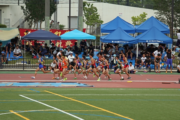 IMG_6201_edited-1_T1