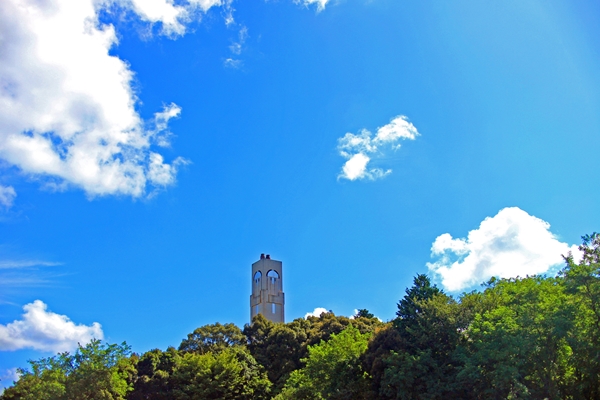 IMG_6298_edited-11_T1