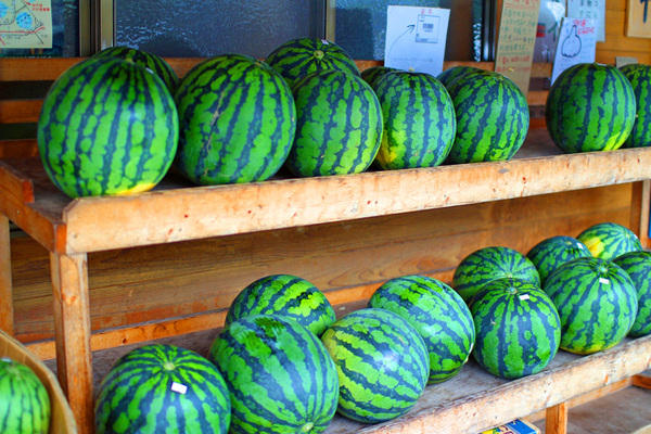 IMG_6360_edited-1_T1