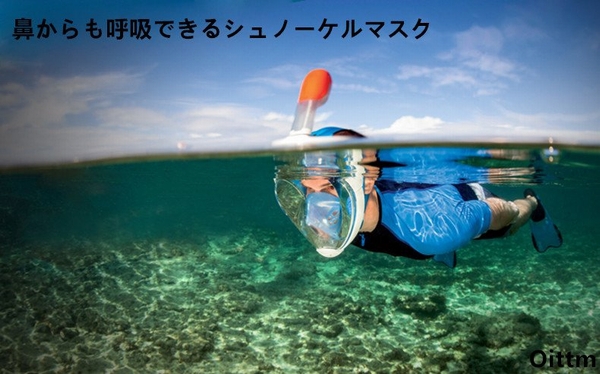 aenzl3JSRDya._UX790_TTW_