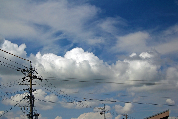 img_6546_edited-1_t1