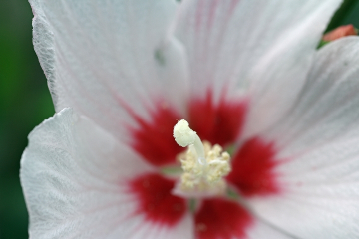 img_6587_edited-1_t1
