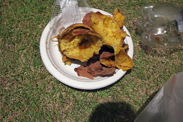 img_7490_edited-1_t1