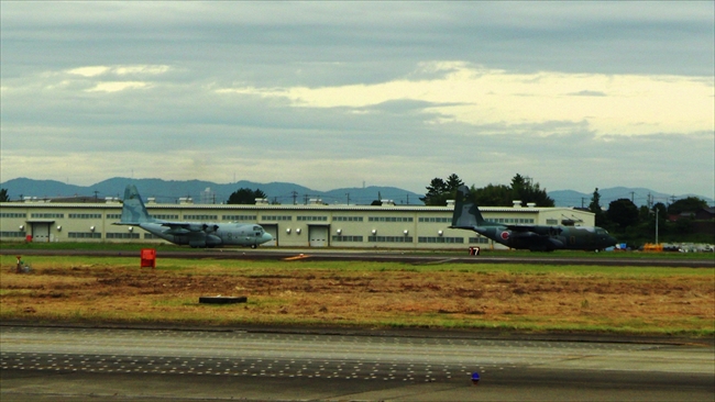 2機のC-130H タキシング 小牧基地