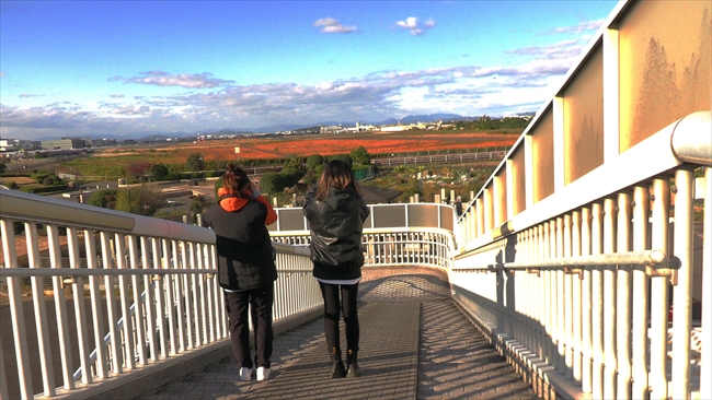 歩道橋から基地活するドラミとムタ