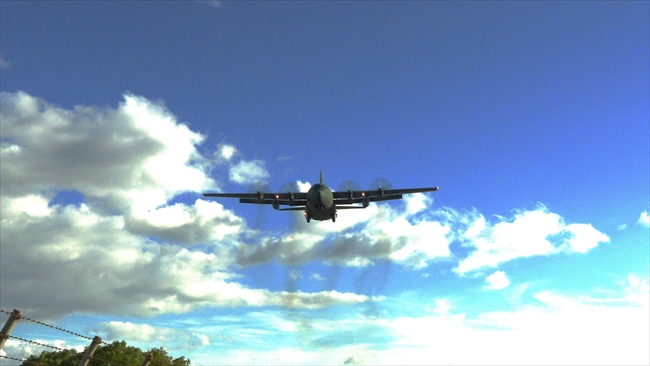 頭上を飛ぶハーク