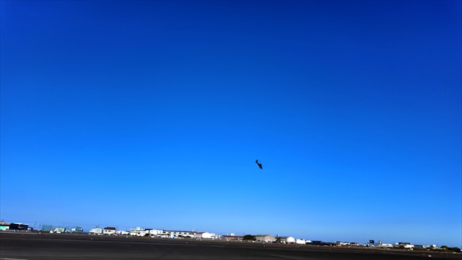 明野駐屯地記念行事　OH-1アクロバット　引きの画